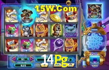 14Pg